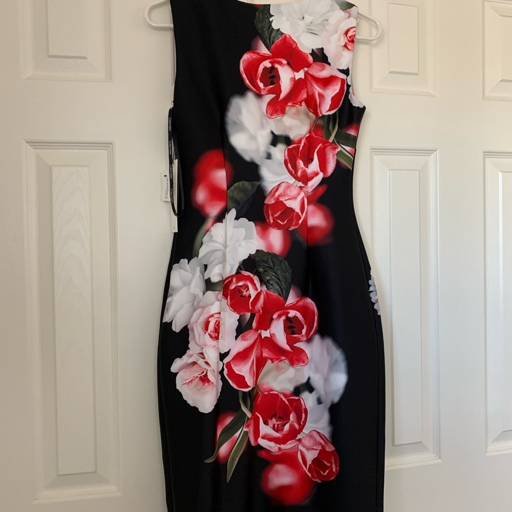 NWT Calvin Klein Roses dress